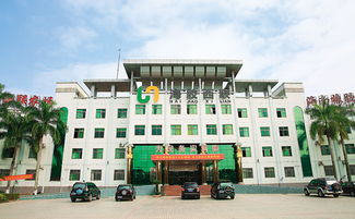 心系故土 實業(yè)救國 華僑與儋州近代開發(fā)