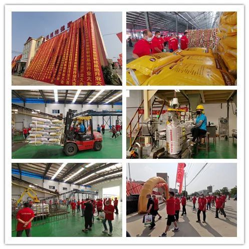 百萬噸酵素肥基地落成 億豐實(shí)業(yè)集團(tuán)發(fā)布會(huì)釋放行業(yè)重磅信息