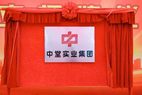 高質(zhì)量發(fā)展新征程 中堂實(shí)業(yè)集團(tuán)揭牌成立，百墩實(shí)業(yè)開啟新篇章